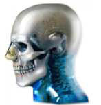 ATOM MAX Dental